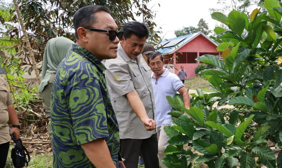BERPOTENSI: Desa Prangat Baru, Kecamatan Marang Kayu, meninjau pembangunan Rest Area “Odah Singgah” dan berdialog dengan para kepala desa serta petani kopi luwak. (Istimewa)